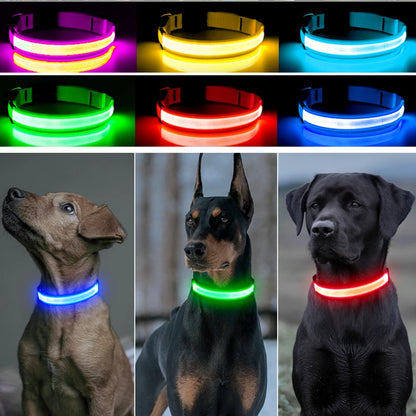 SafeGuard Muzzle™