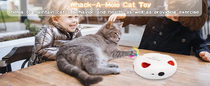 INKZOO Whack-A-Mole Interactive Cat Toy