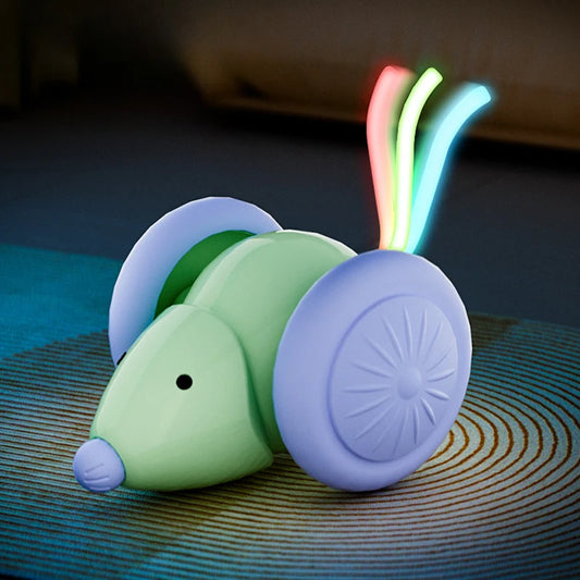 Electric Mouse Car Cat Toy