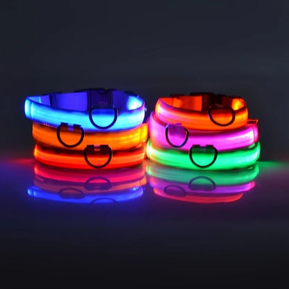 LED Glow Dog Collar & Leash