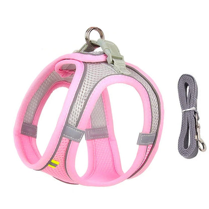 TrailLeash Pro™