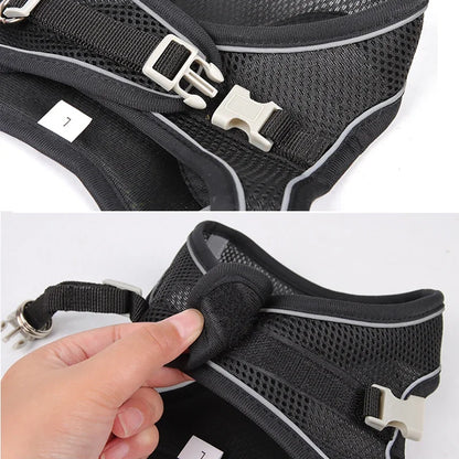 TrailLeash Pro™