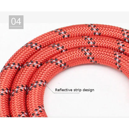 Heavy-Duty Reflective Dog Leash