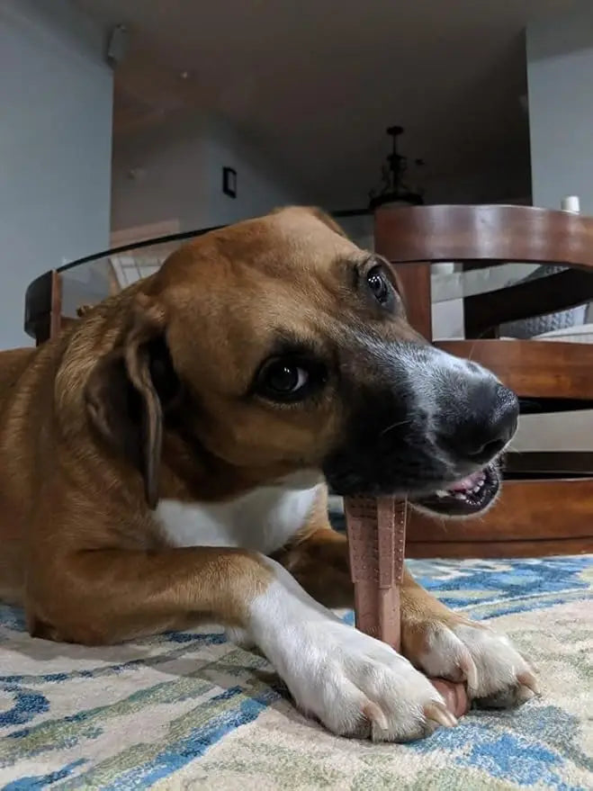 Bamb-O-Care: Durable Bamboo Fiber & Rubber Dental Chew