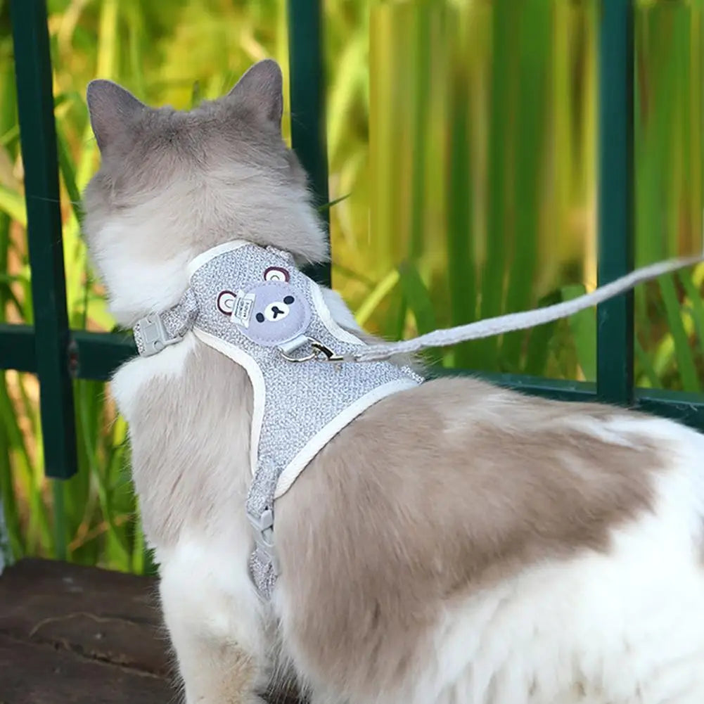 Pet Vest Harness & Leash Set