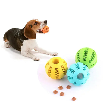 Dog Chew Ball — Treat Feeder & Teeth Cleaner