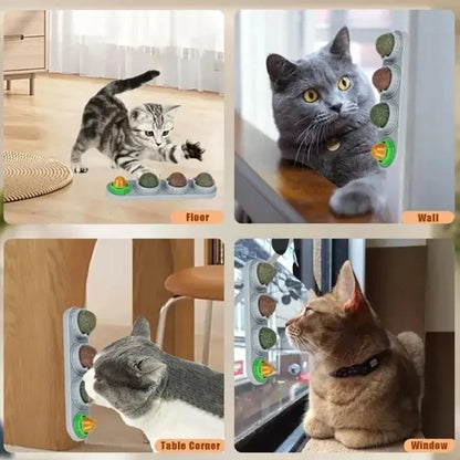 4-in-1 Rotating Catnip Wall Toy for Cats