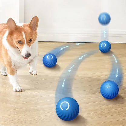 SmartBall Pet™