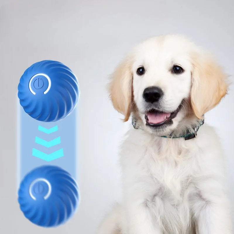 SmartBall Pet™