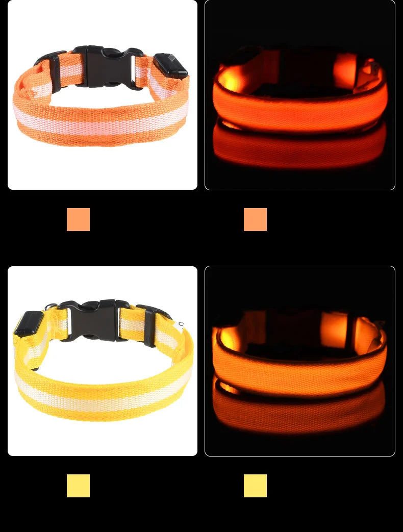 LED Glow Dog Collar & Leash