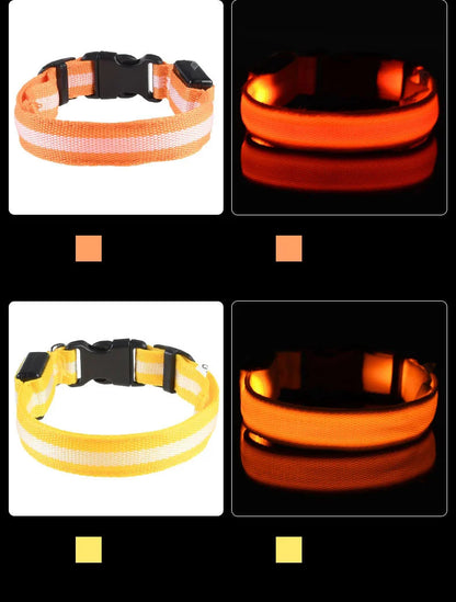 LED Glow Dog Collar & Leash