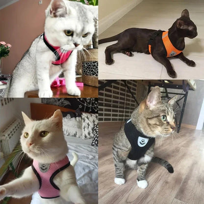 Adjustable Cat & Dog Harness with Leash