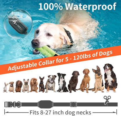 Dog Training E-Collar – 3200ft Range