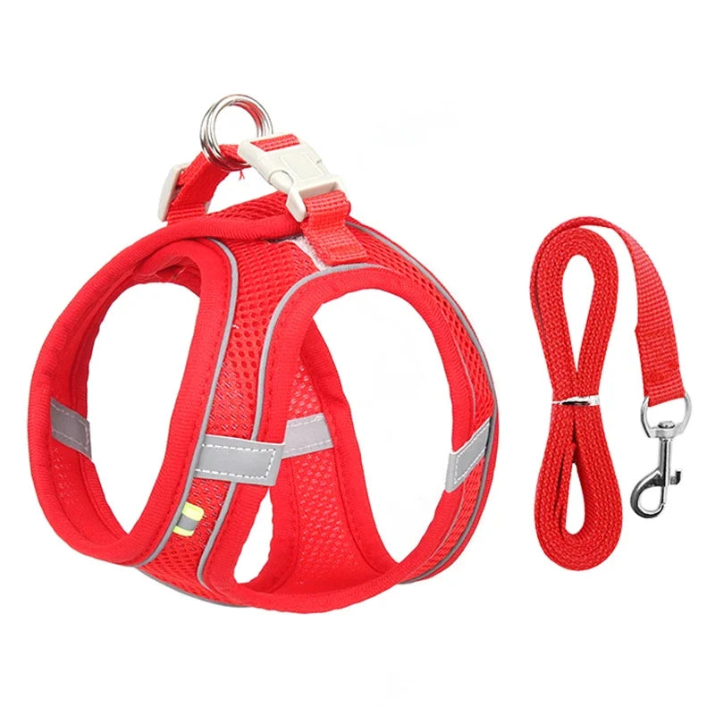 TrailLeash Pro™