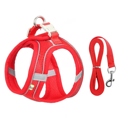 TrailLeash Pro™