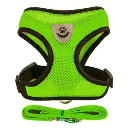 Adjustable Cat & Dog Harness with Leash