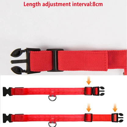 SafeGuard Muzzle™