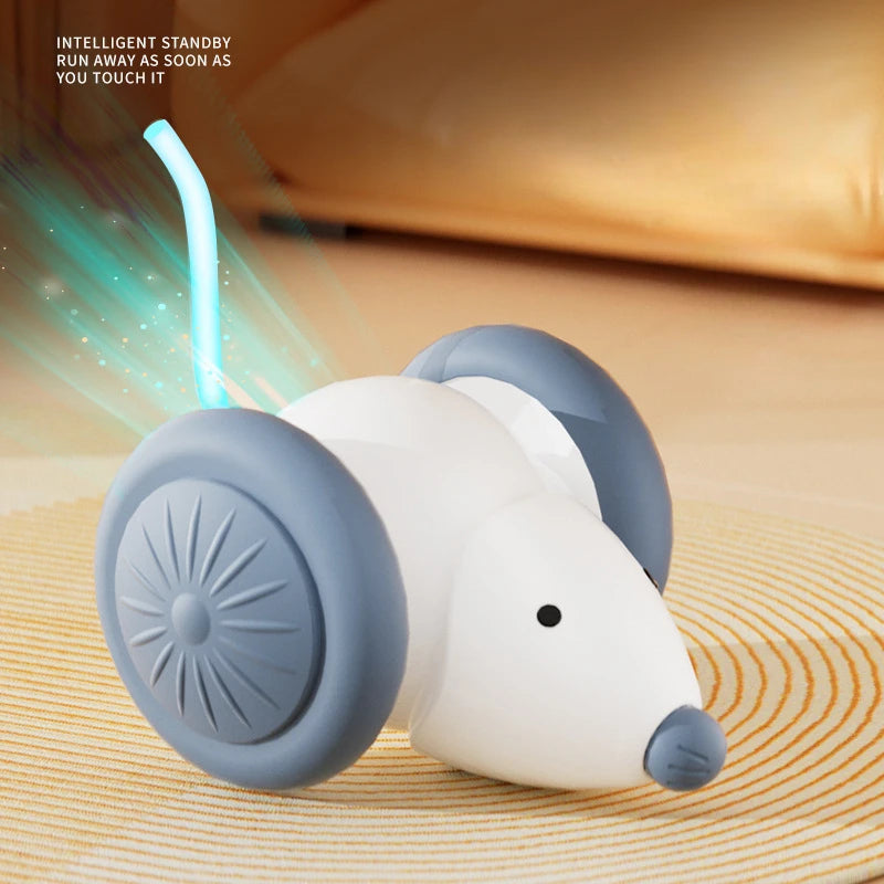 Electric Mouse Car Cat Toy