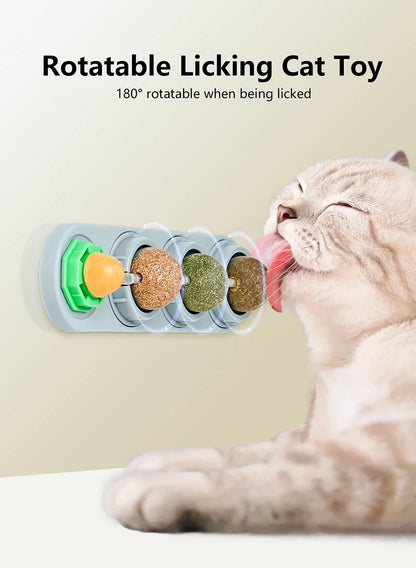 4-in-1 Rotating Catnip Wall Toy for Cats
