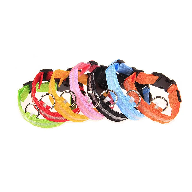 LED Glow Dog Collar & Leash