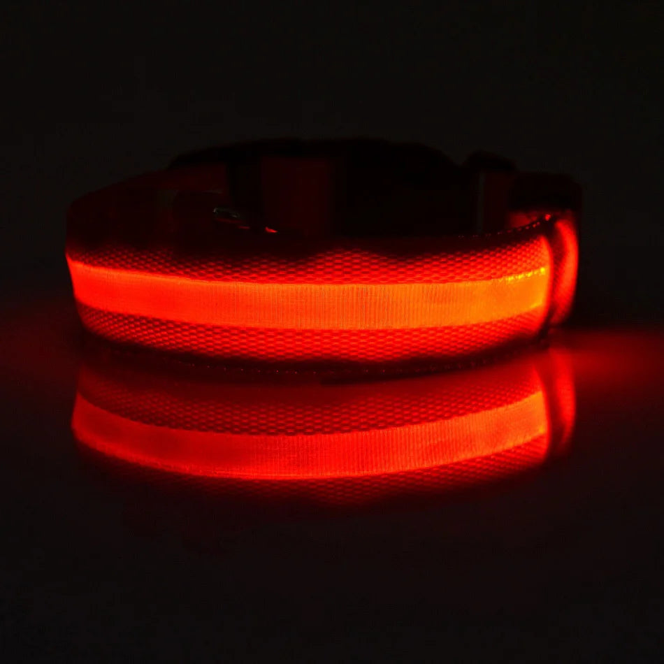LED Glow Dog Collar & Leash
