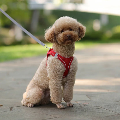 TrailLeash Pro™