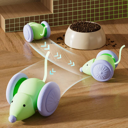 Electric Mouse Car Cat Toy