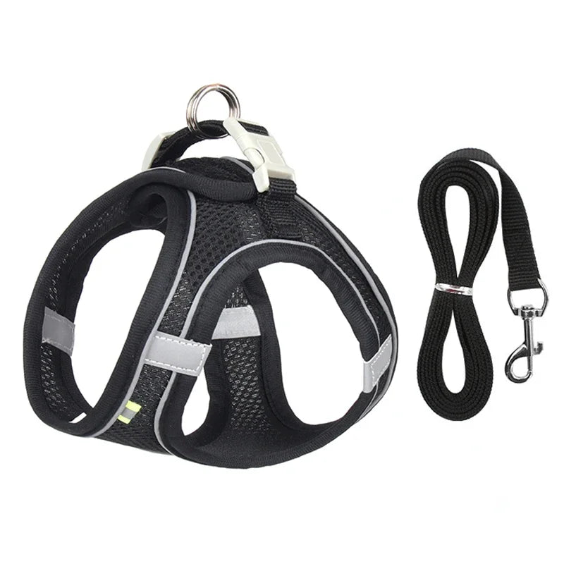 TrailLeash Pro™