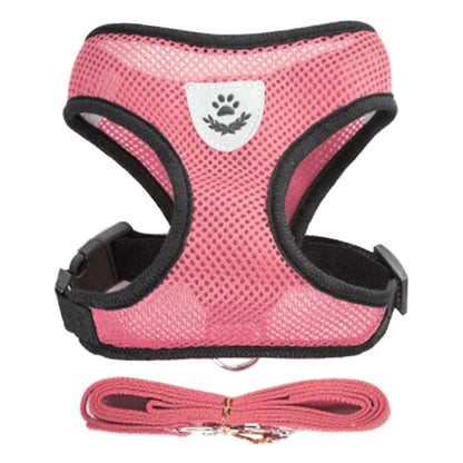 Adjustable Cat & Dog Harness with Leash