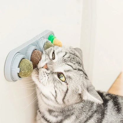 4-in-1 Rotating Catnip Wall Toy for Cats