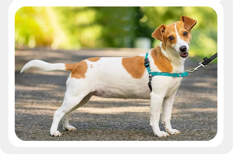 Large Dog Vest Harness