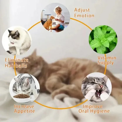 4-in-1 Rotating Catnip Wall Toy for Cats