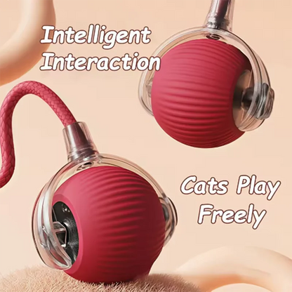 OrbitPet™