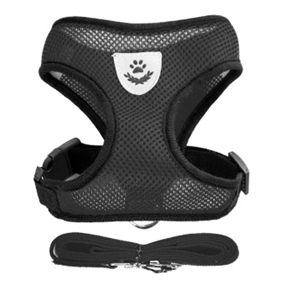 Adjustable Cat & Dog Harness with Leash