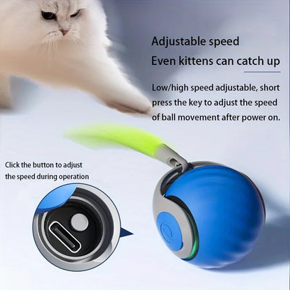 CatnipBall Pro™