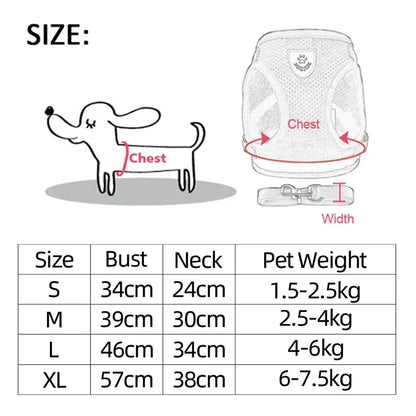 Adjustable Cat & Dog Harness with Leash