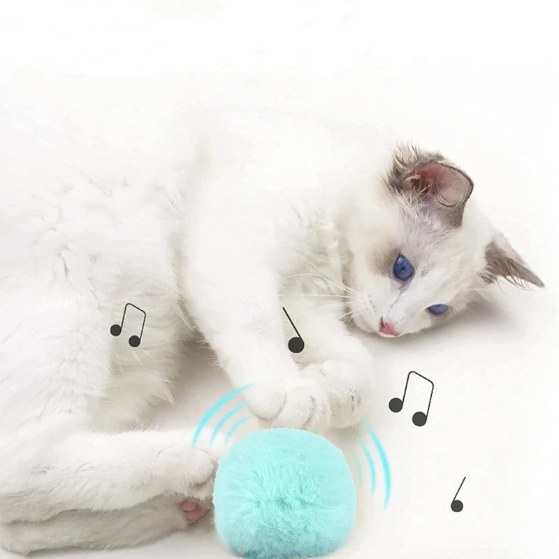 CatnipBall Pro™