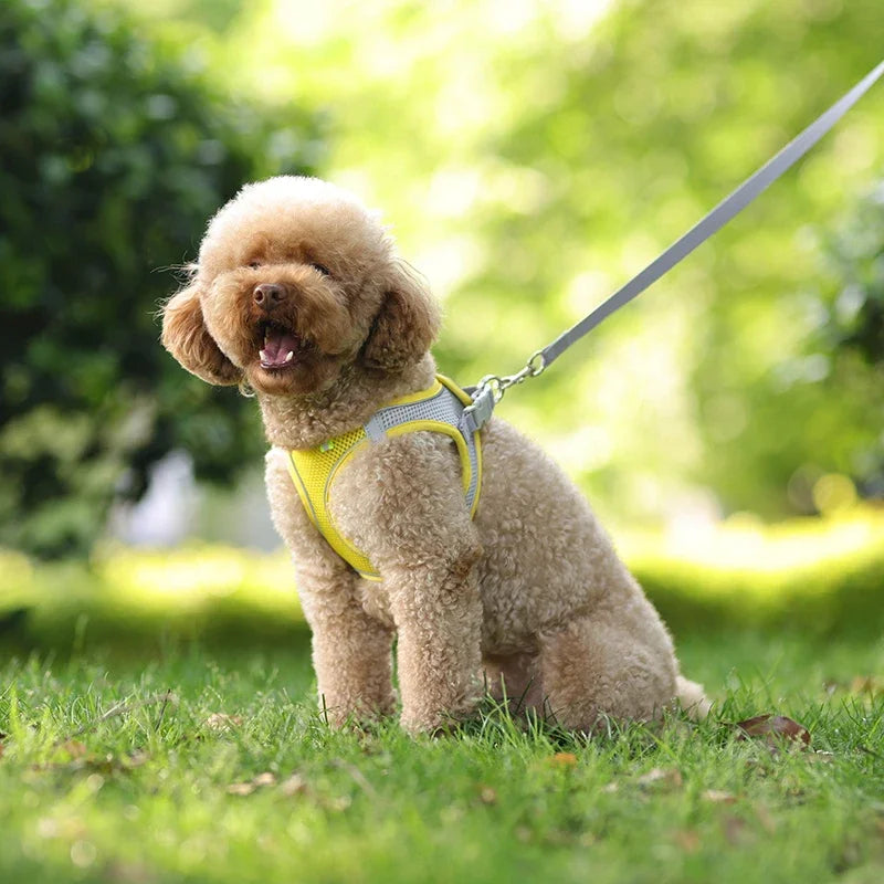 TrailLeash Pro™