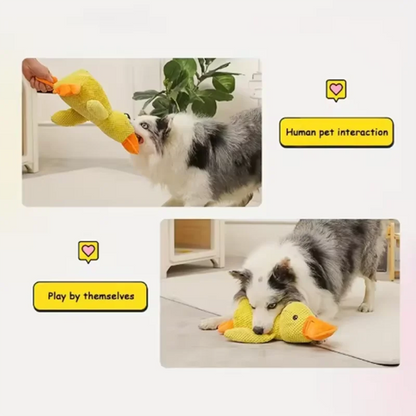 LuxDuck Plush™