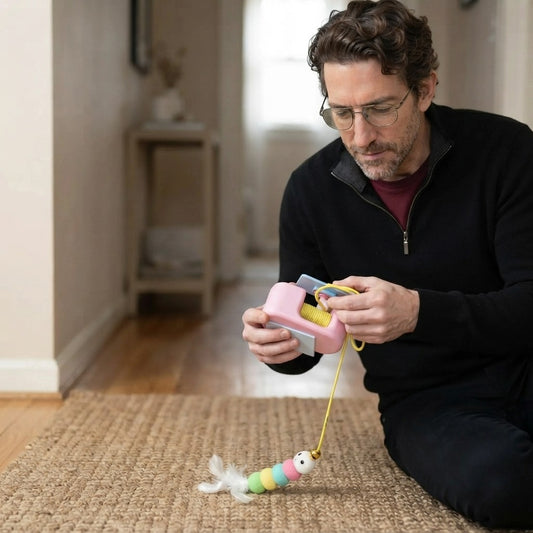 Electric Flying Bird Cat Toy