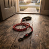 Reflective Dog Leash