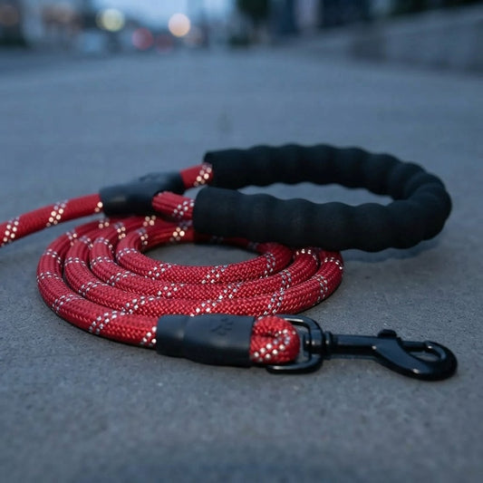 Reflective Dog Leash