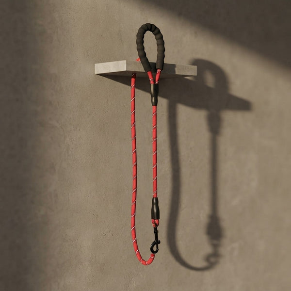 Reflective Dog Leash