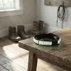 LED Glow Dog Collar and Leash