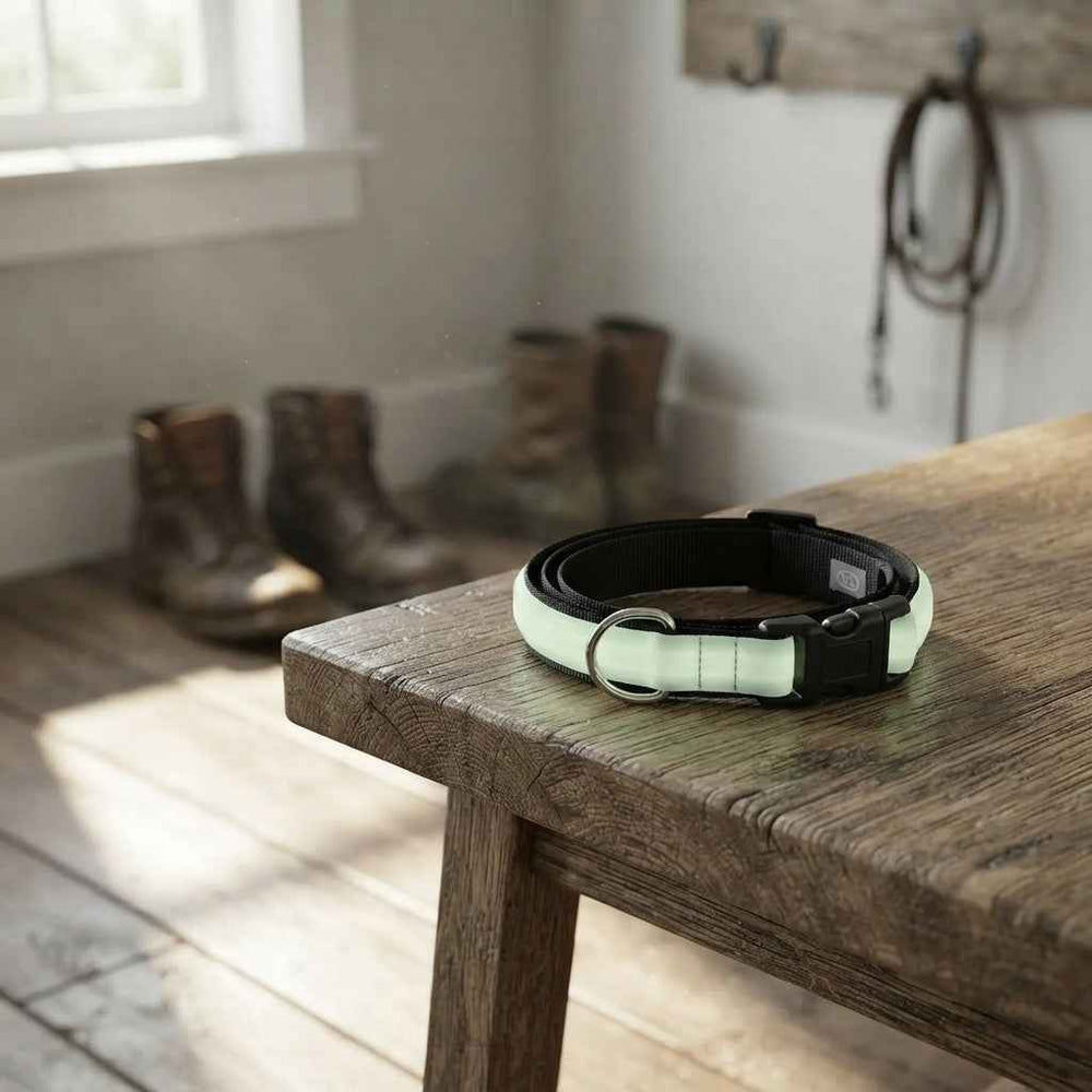 LED Glow Dog Collar and Leash