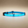 LED Glow Dog Collar and Leash