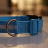 LED Glow Dog Collar and Leash