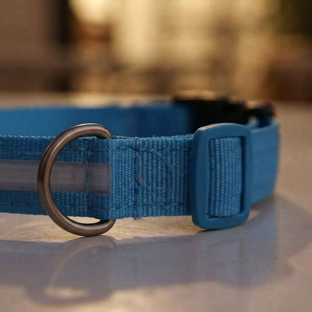 LED Glow Dog Collar and Leash
