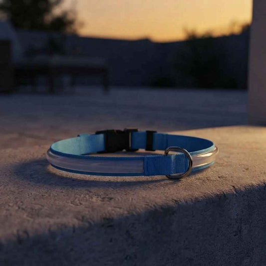 LED Glow Dog Collar and Leash