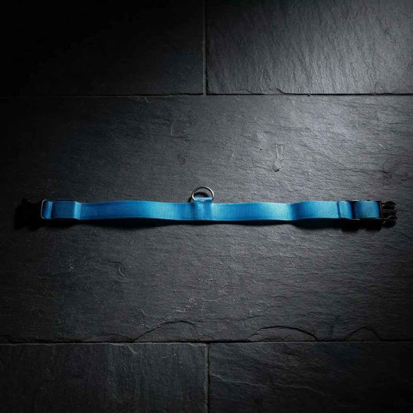 LED Glow Dog Collar and Leash